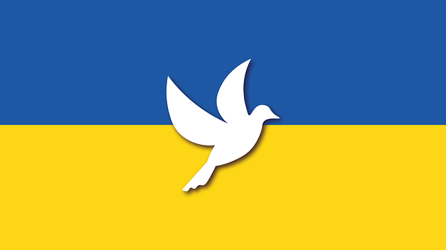 Dove of peace on Ukrainian flag background